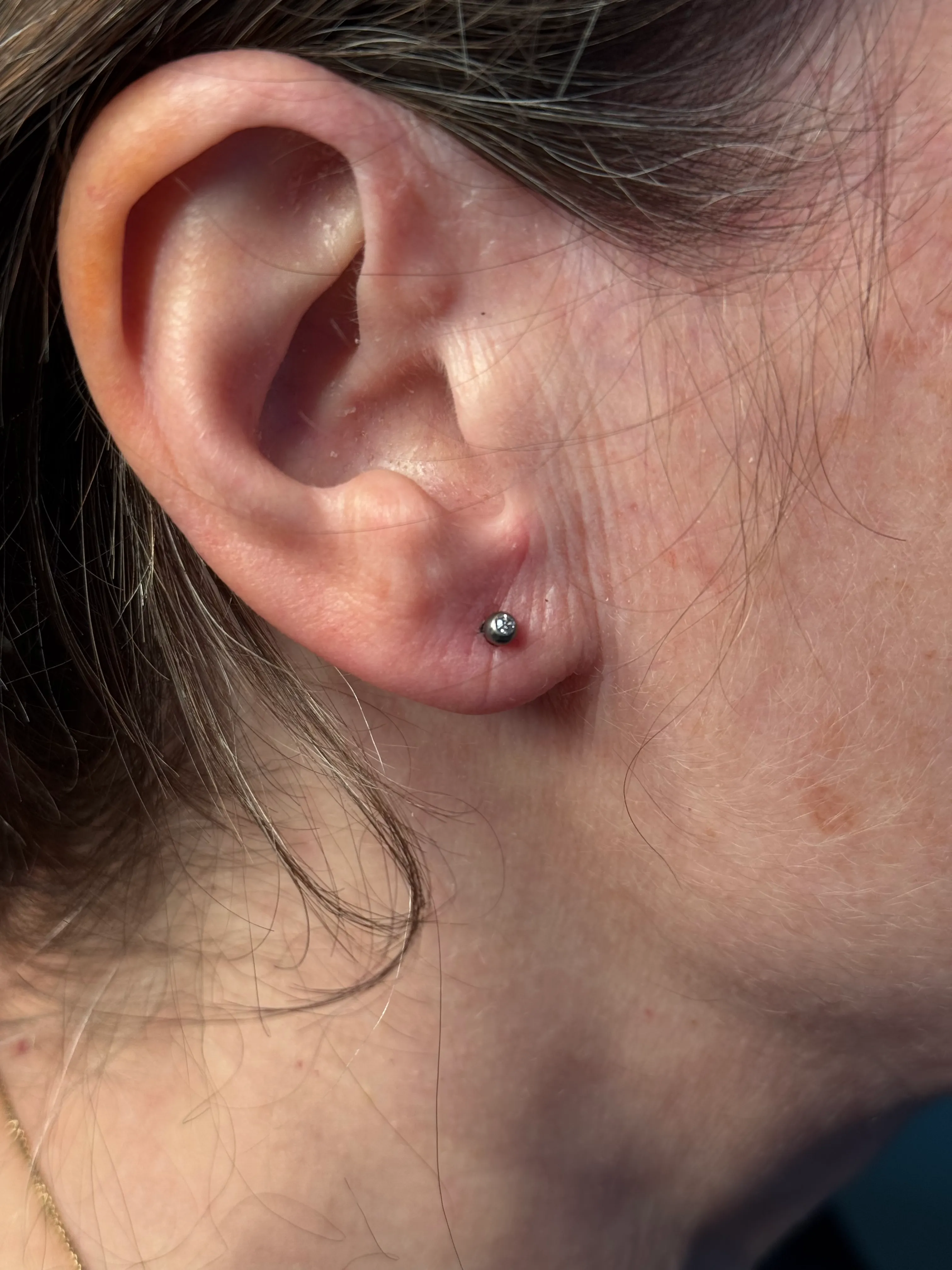 Piercing — piercing 07 conch stud